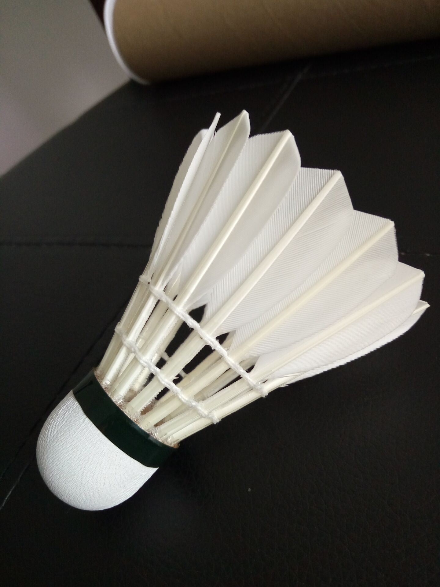 进球的佳绩 进球的佳绩